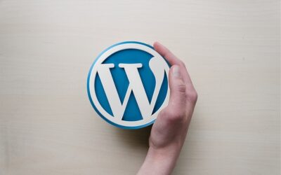 Leveraging the Ease of WordPress to Rapidly Build an MVP for Startups